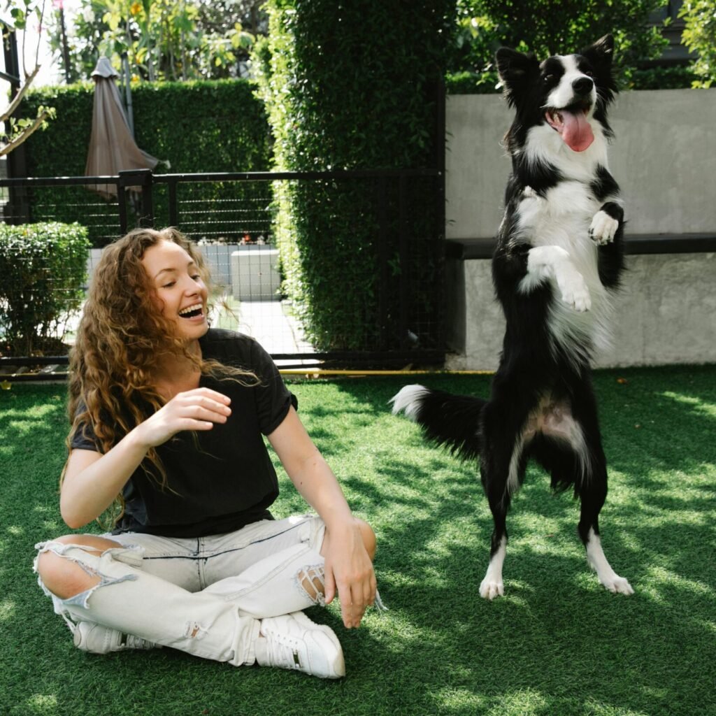 clean yard happy dance pooper scooper sturgeon bay pawsitive pickup